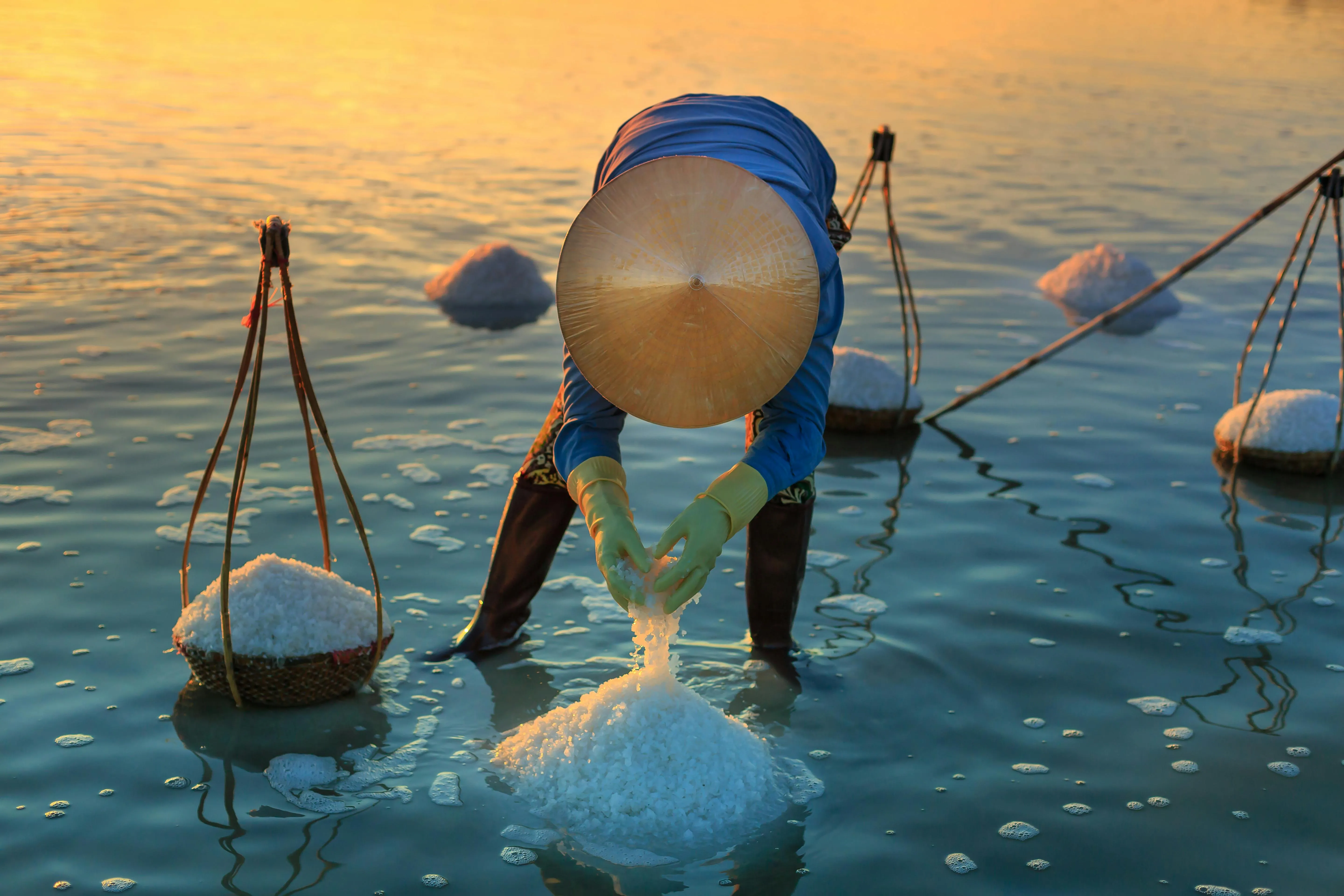 Quang Nguyen Vinh on Pexels
