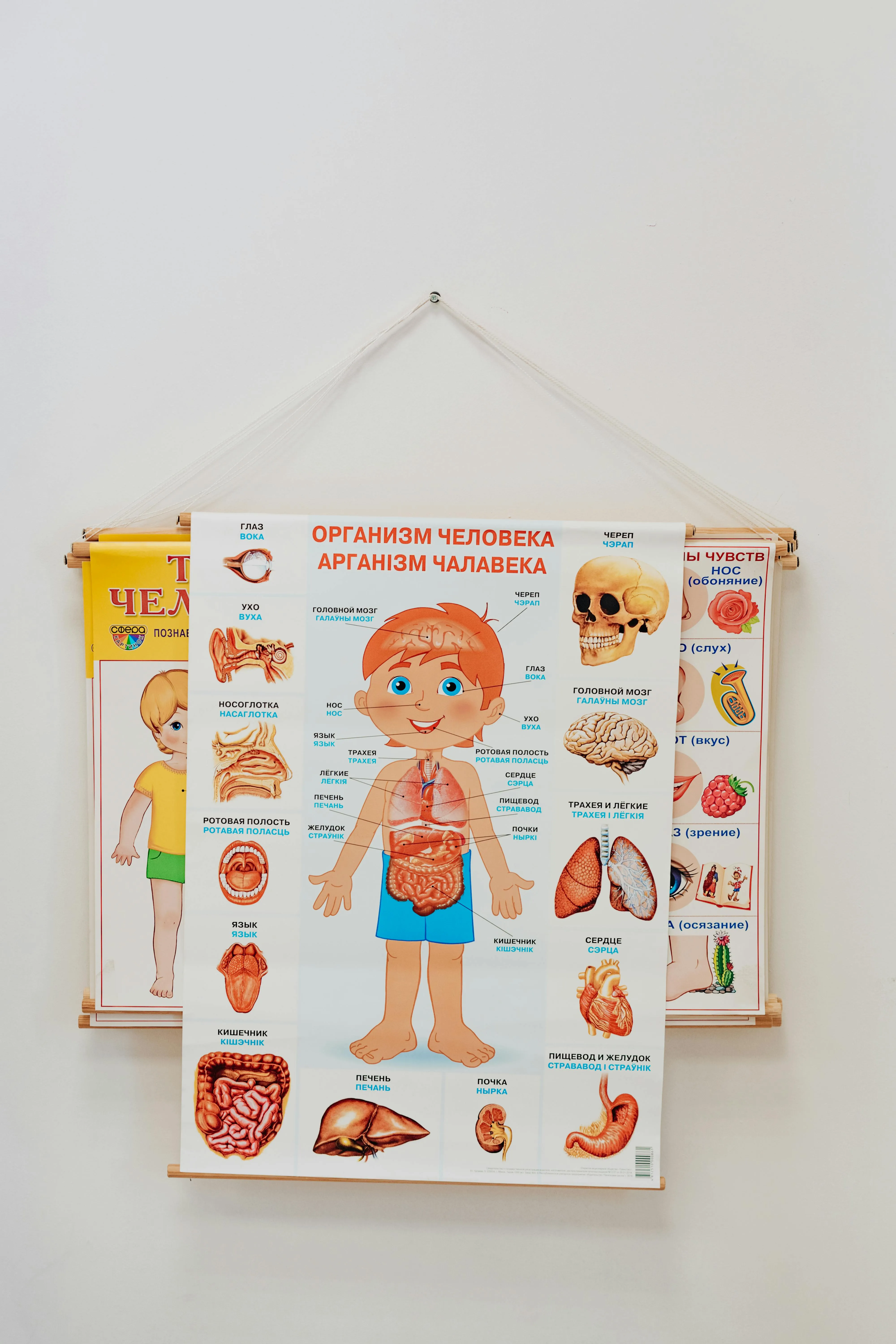 Mikhail Nilov on Pexels