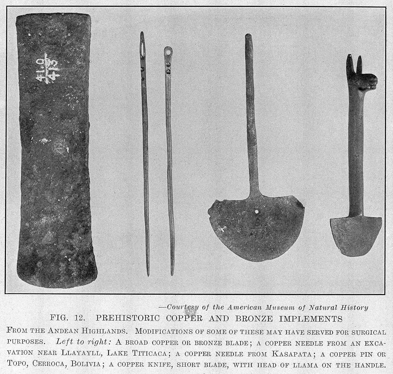 Wellcome Collection on Wikimedia Commons