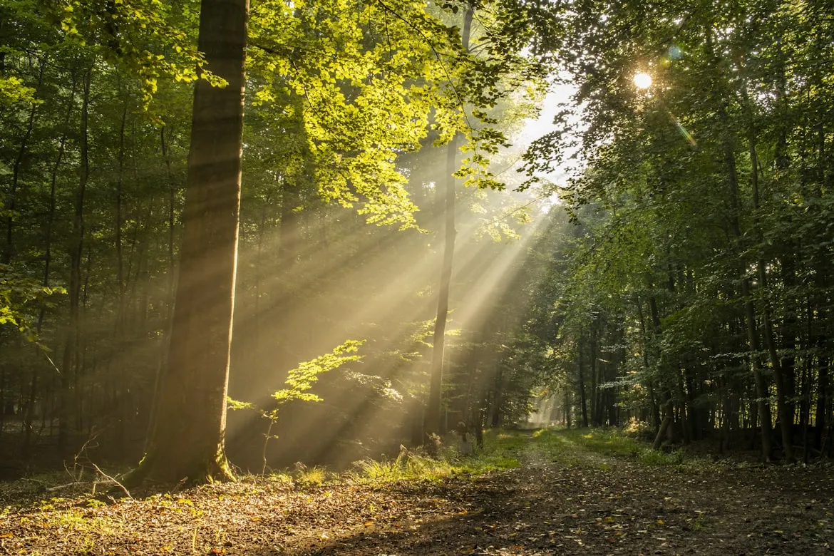10 Ways People Planned Ahead in Spring
