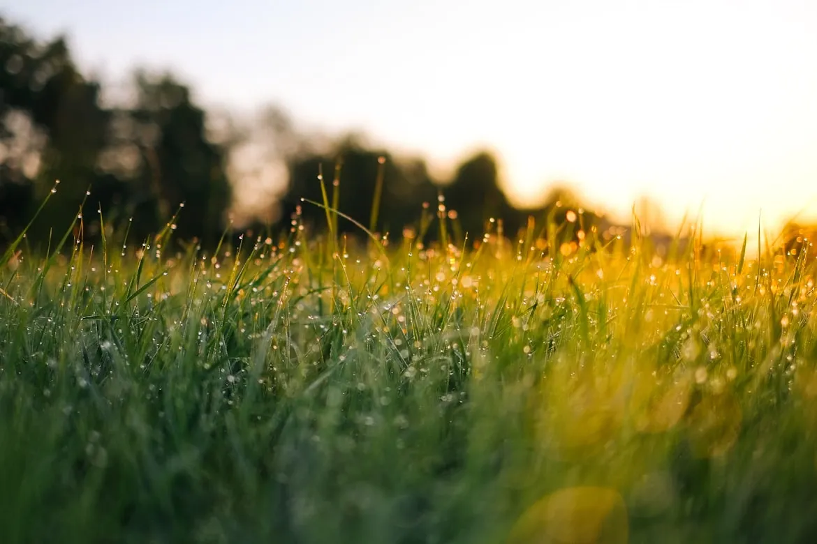 Jonas Weckschmied from Unsplash
