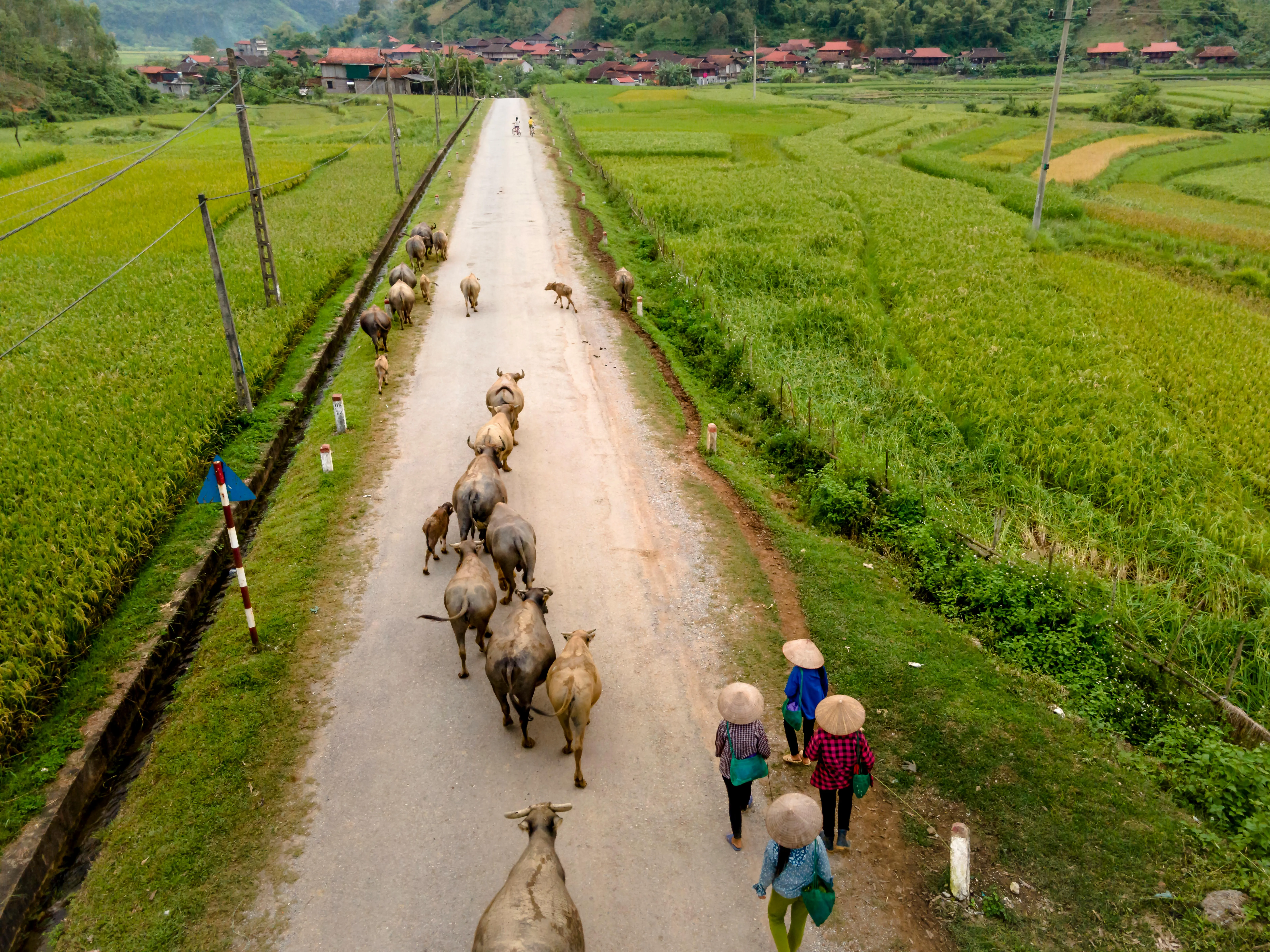 Quang Nguyen Vinh on Pexels