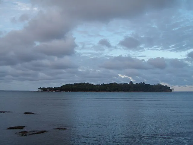 Biswarup Ganguly on wikimedia