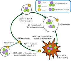 Image from Stanford University