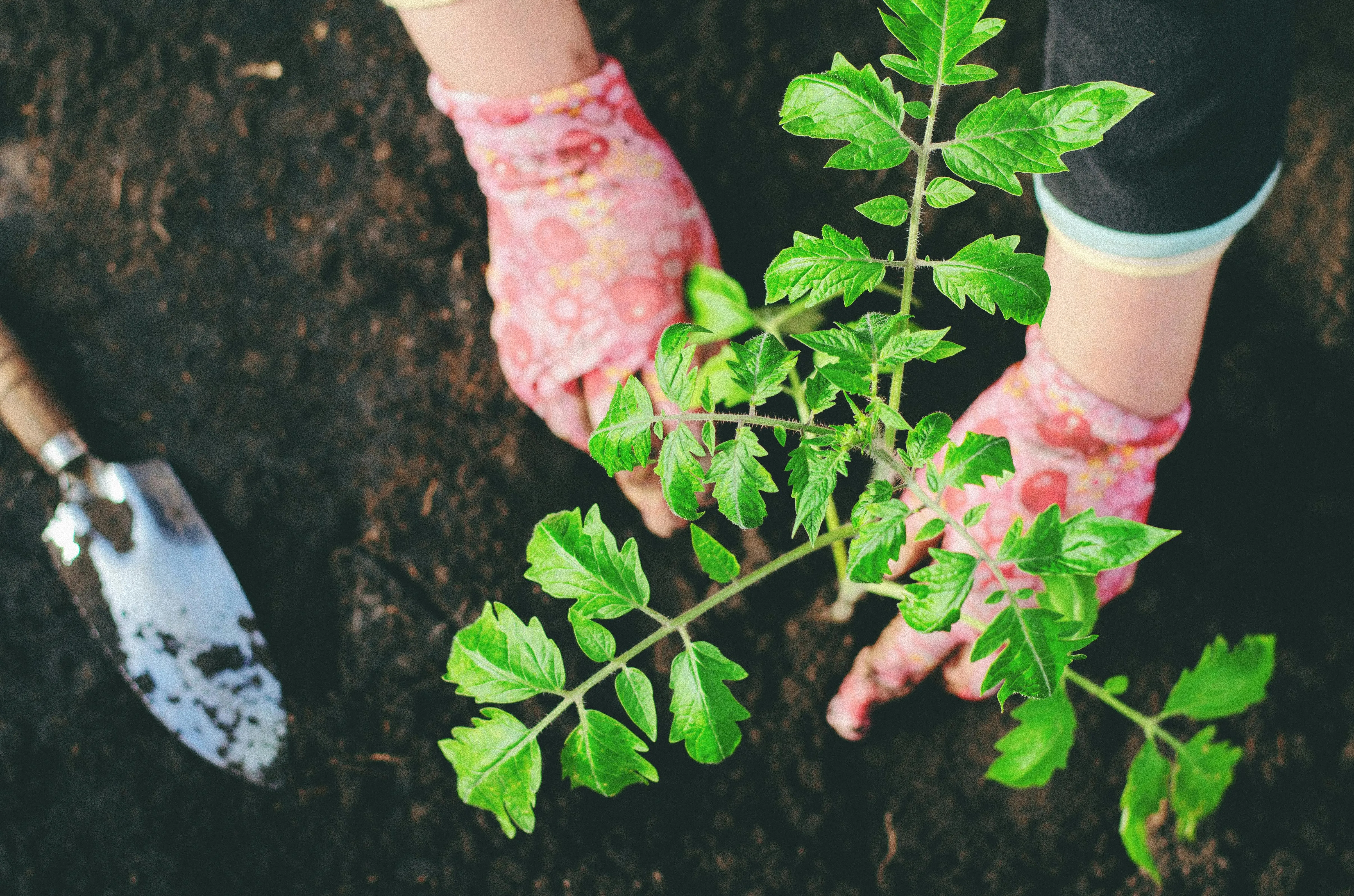 18 Outdoor Responsibilities That Returned in Spring
