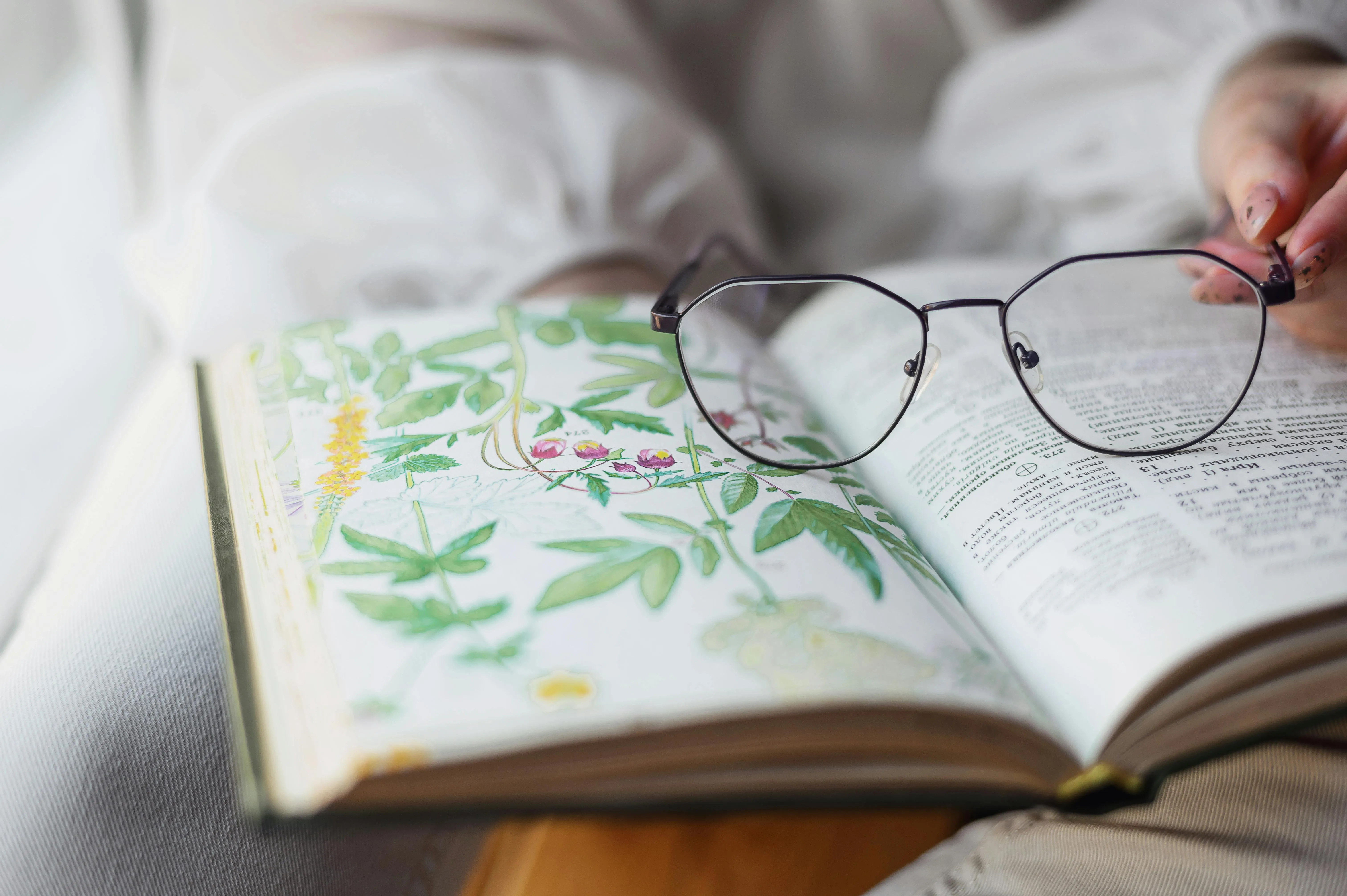 Meri Verbina on pexels