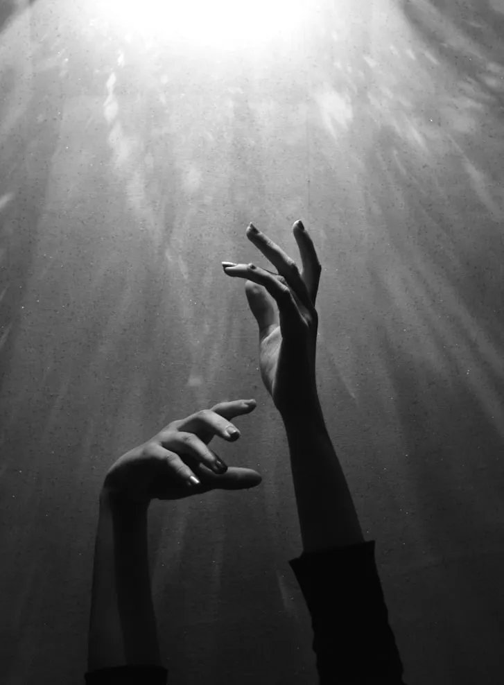 Nahid Hatami from Unsplash