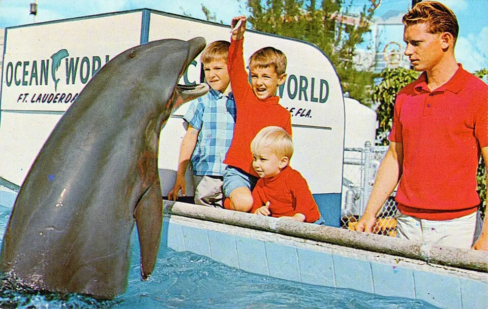 1950sUnlimited on Wikimedia Commons