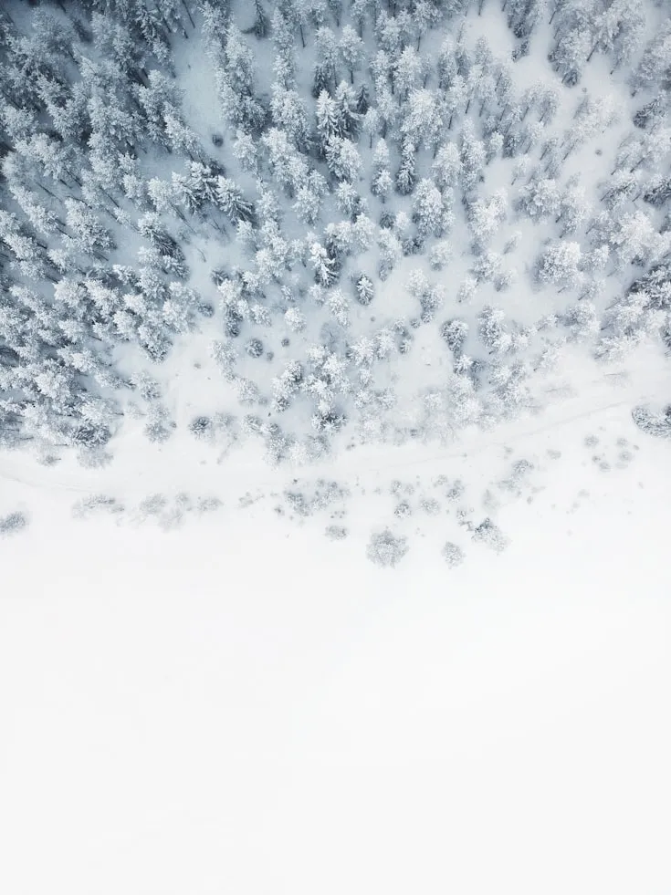 Gabriel Alenius from Unsplash