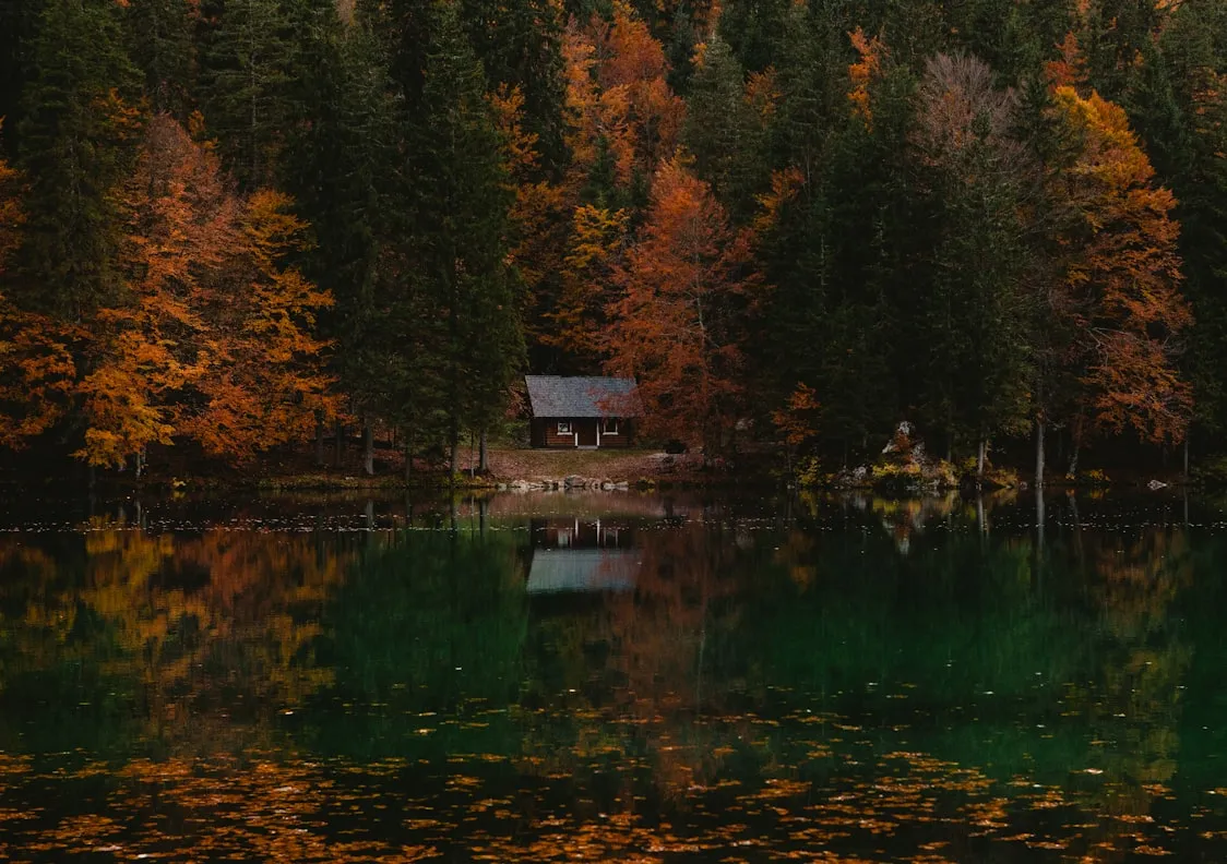 Sašo Tušar on Unsplash