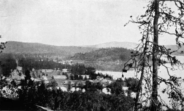 Unknown author on wikimedia