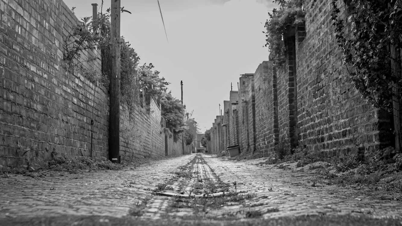 Scott Precious from Unsplash
