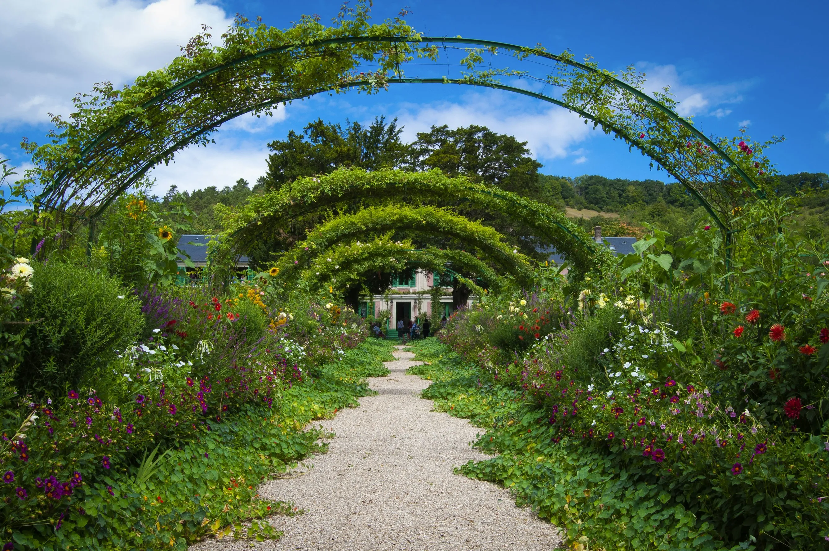 20 Garden Projects Perfect for Retirees