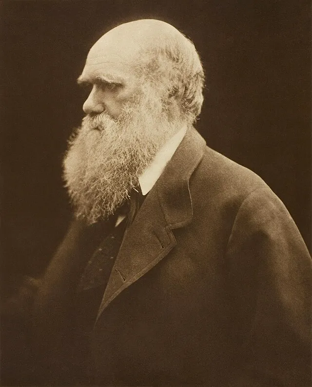 Julia Margaret Cameron / Adam Cuerden on wikimedia