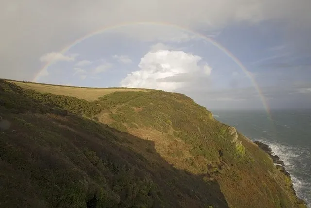 Philip White on Wikimedia Commons