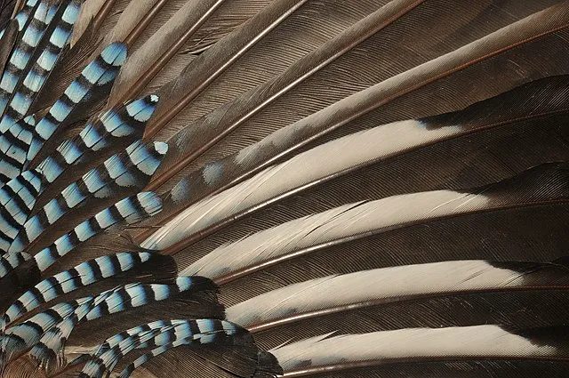 Michael Gäbler on Wikimedia Commons