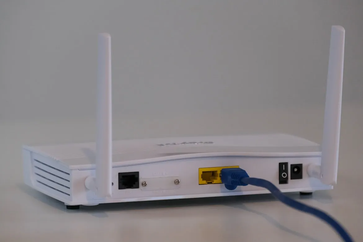 Compare Fibre from Unsplash