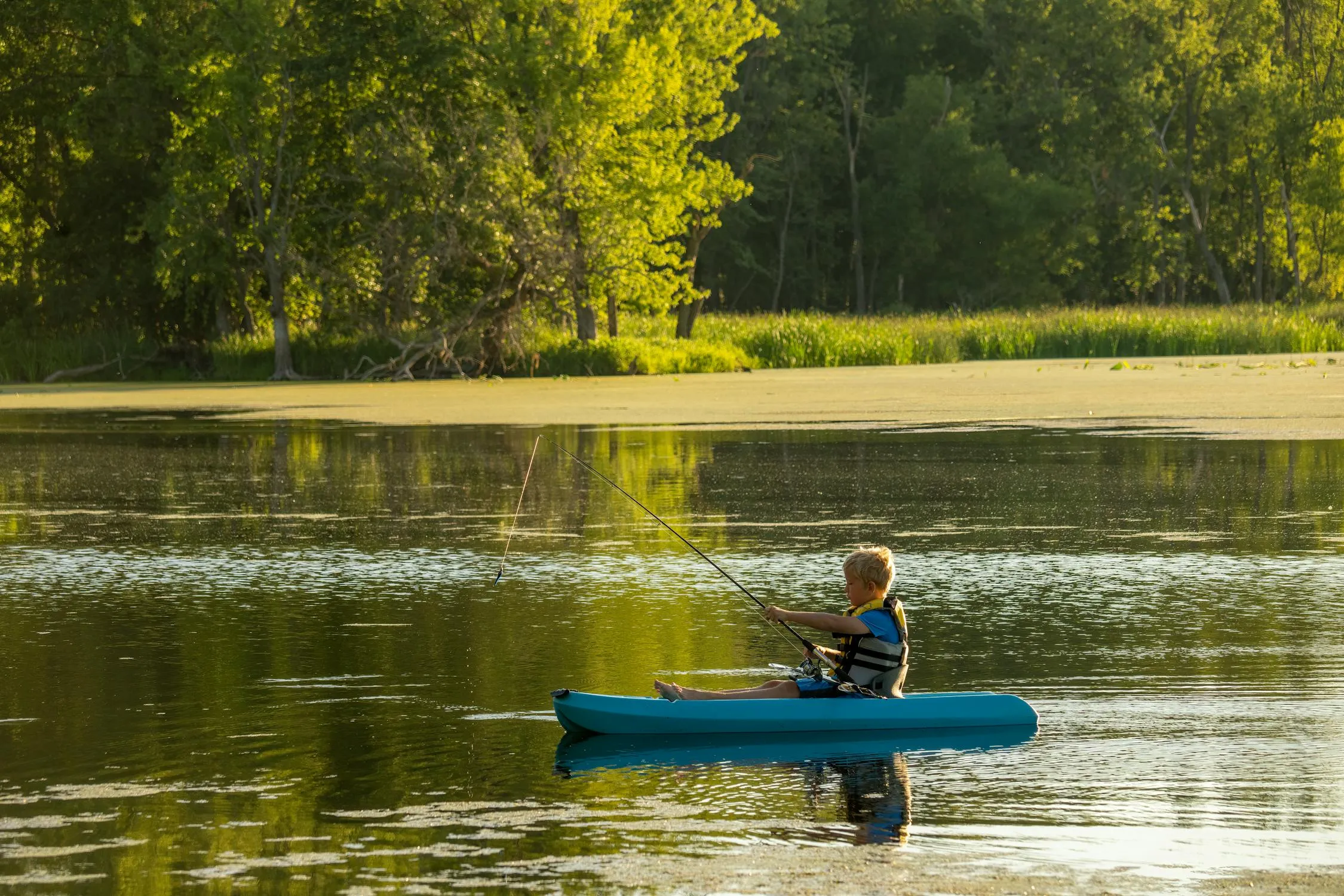 5 Best Fishing Spots in Minnesota for the Ultimate Catch