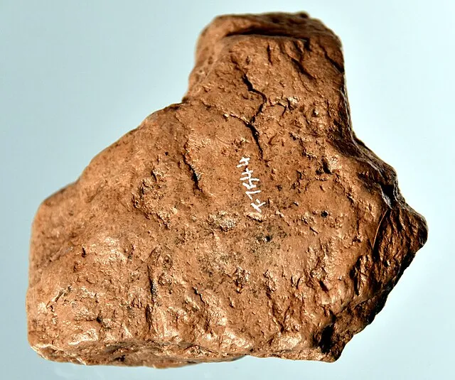 Wikimedia Commons
