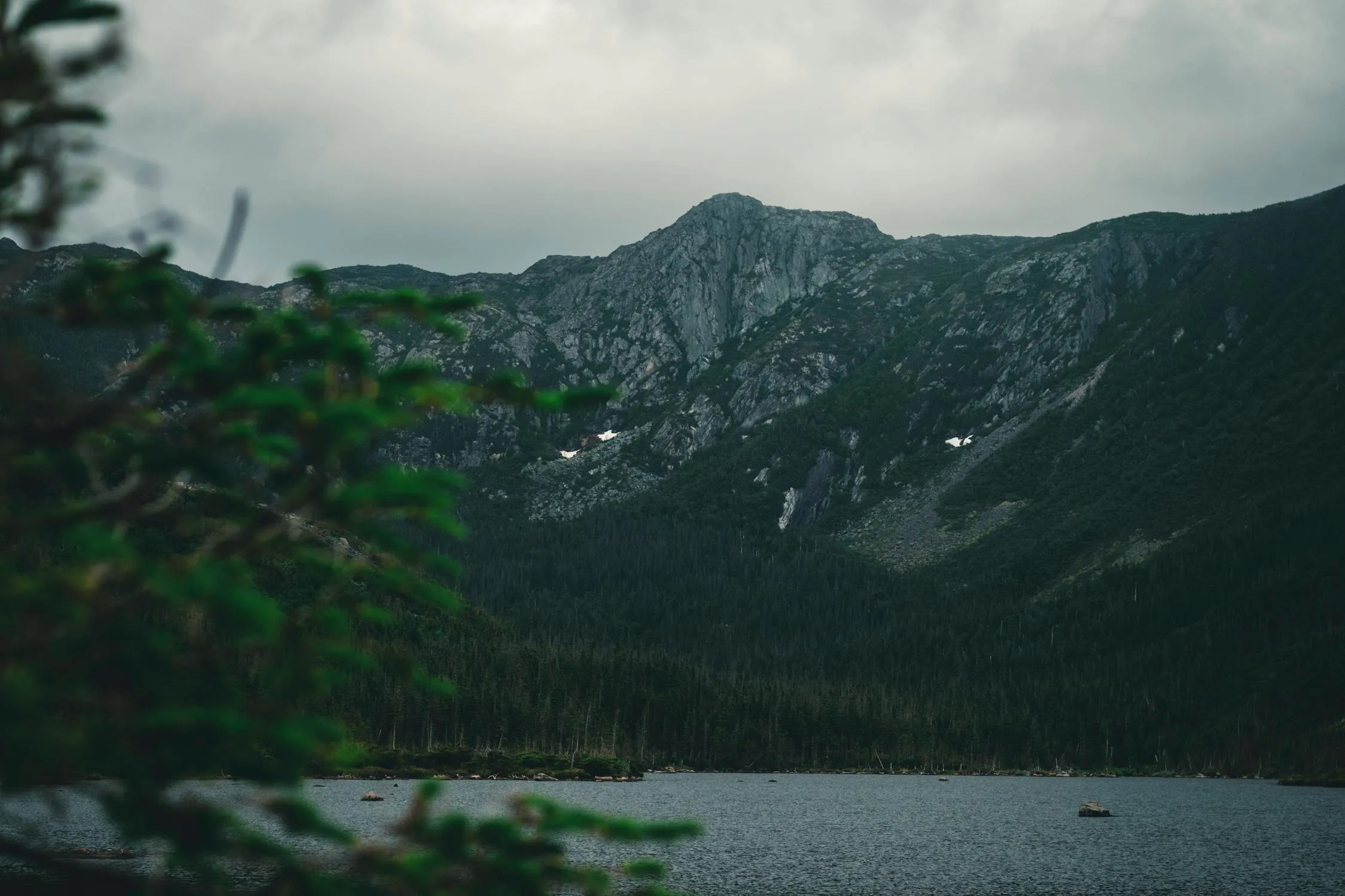 Ali Kazal on Pexels