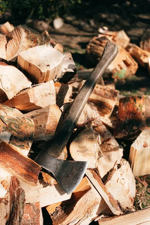 Kaboompics.com on Pexels