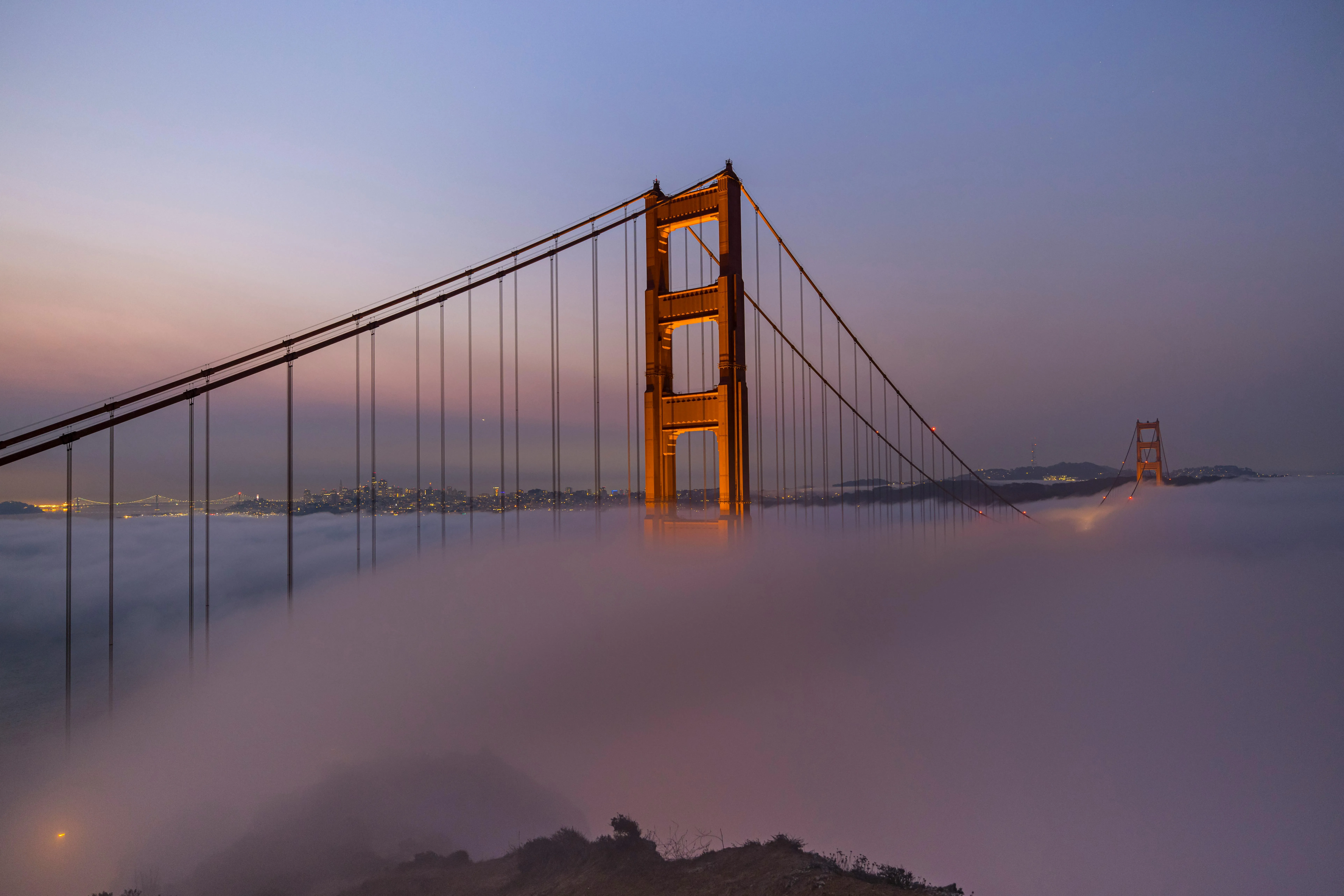 Stephen Leonardi on Pexels