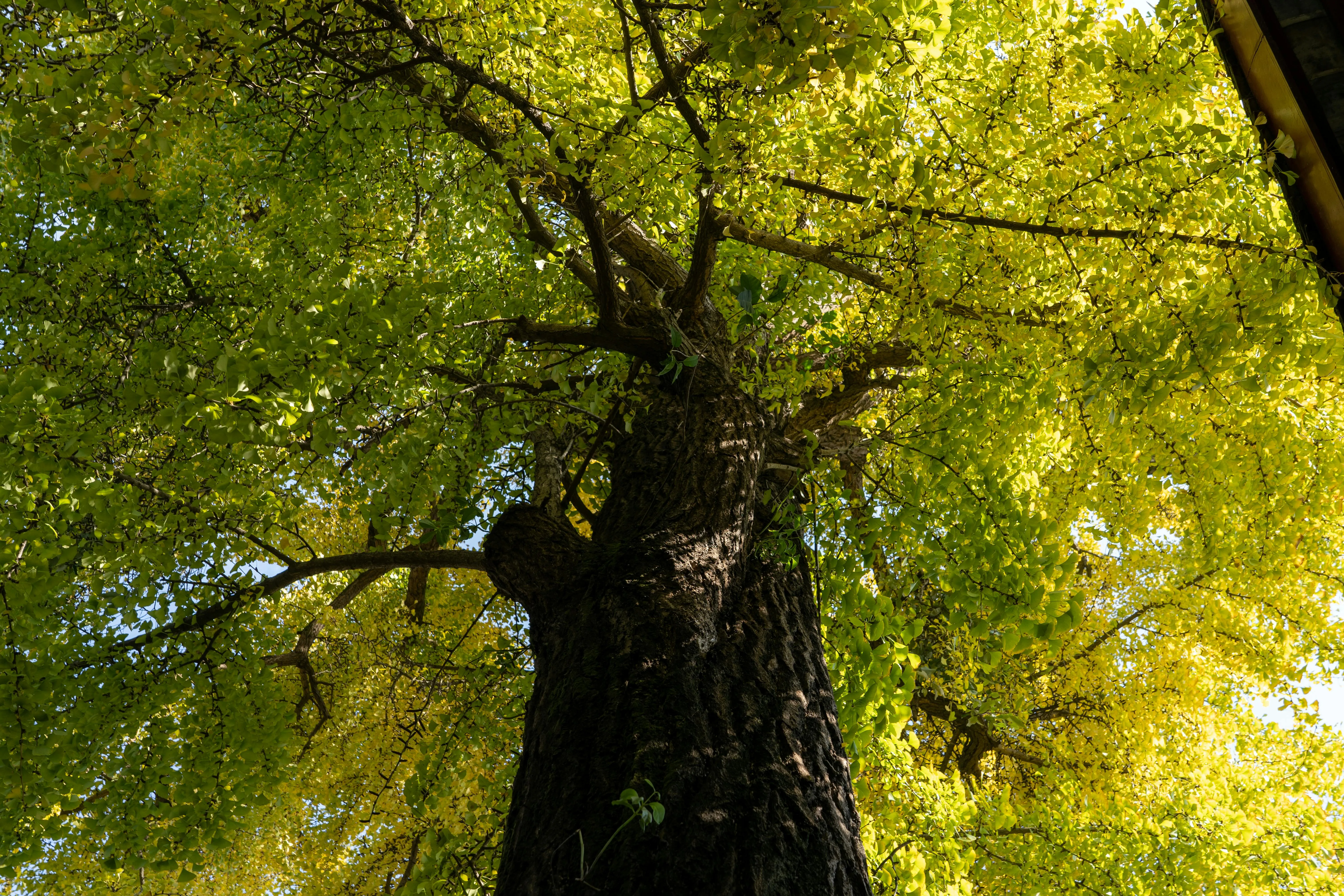 Peter Xie on Pexels