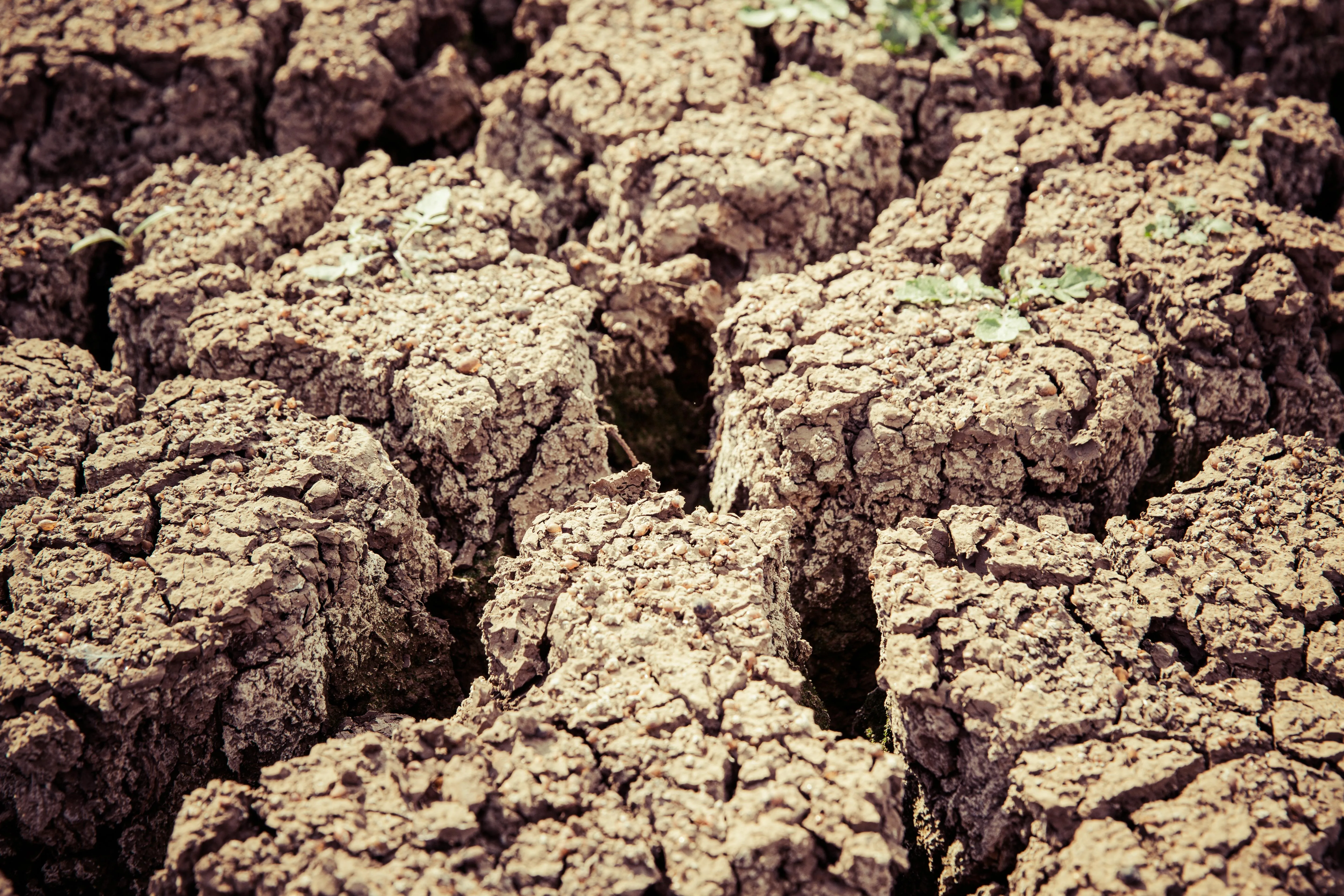 Markus Spiske on Pexels