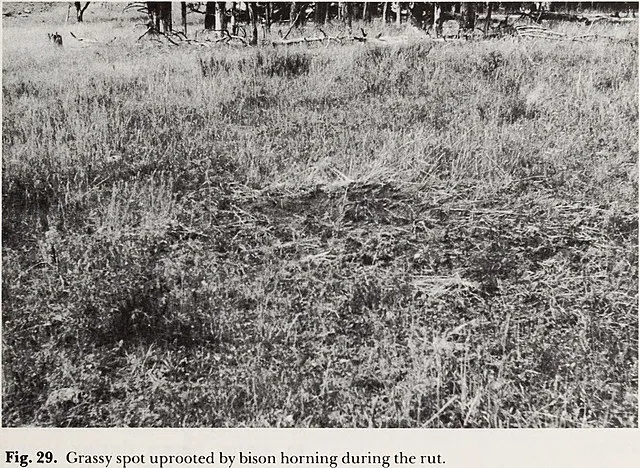 Internet Archive Book Images on Wikimedia Commons