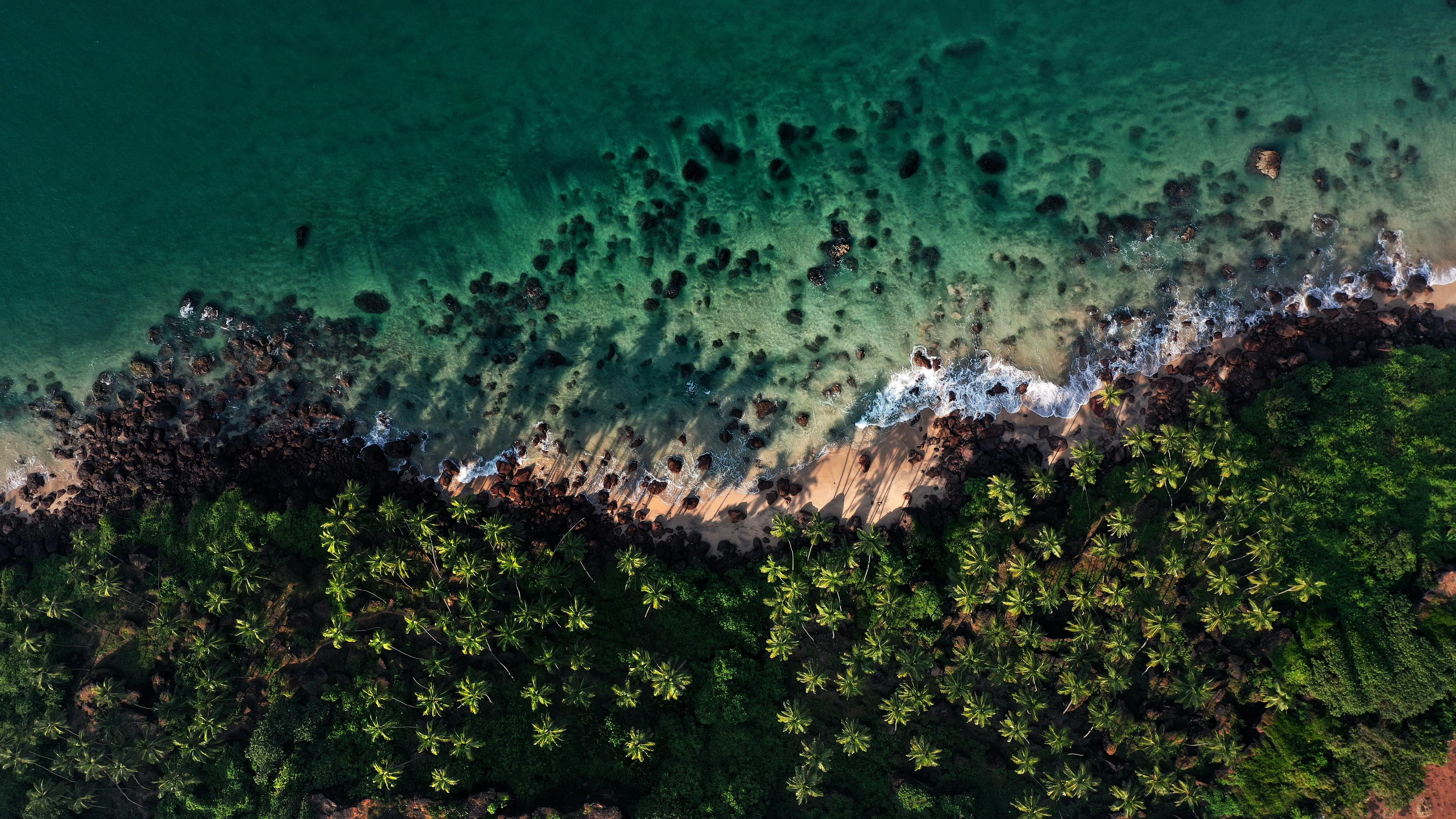 20 Natural Environments That Support Unique Ecosystems