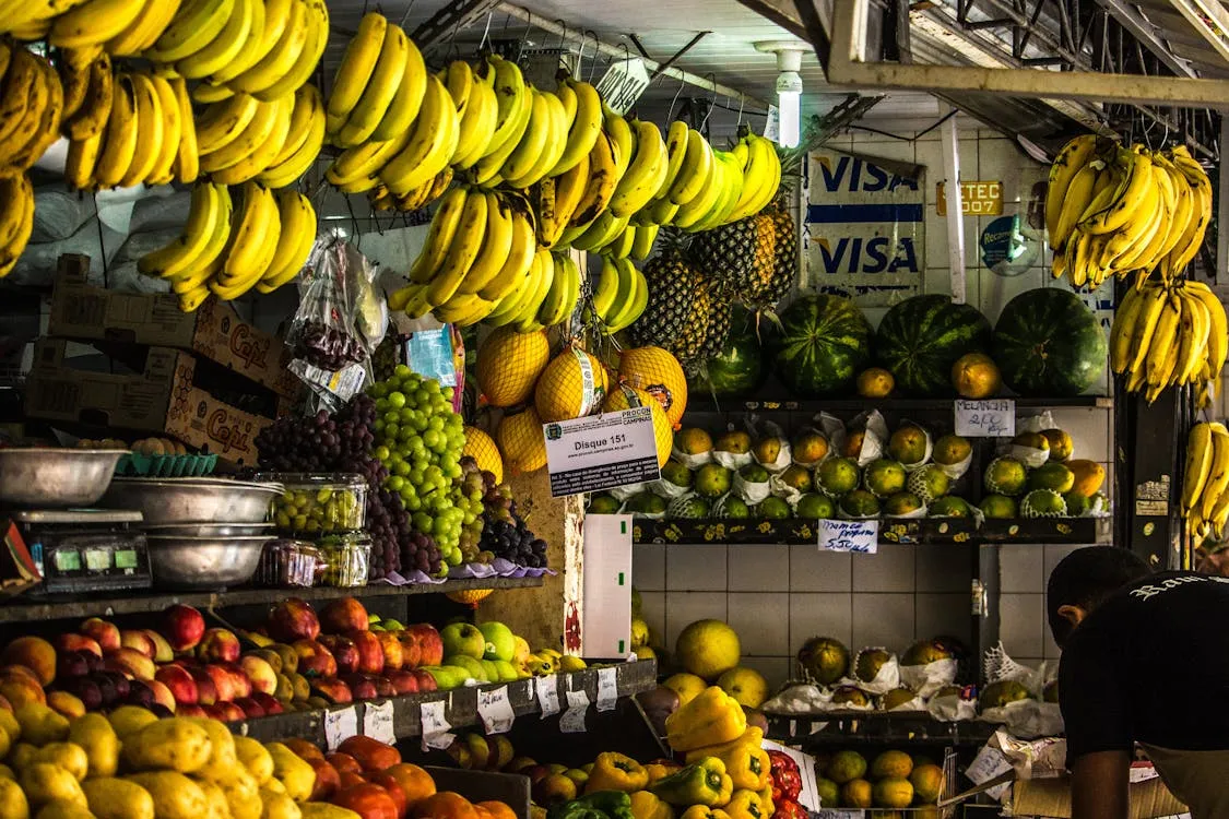 Maurício Mascaro on Pexels