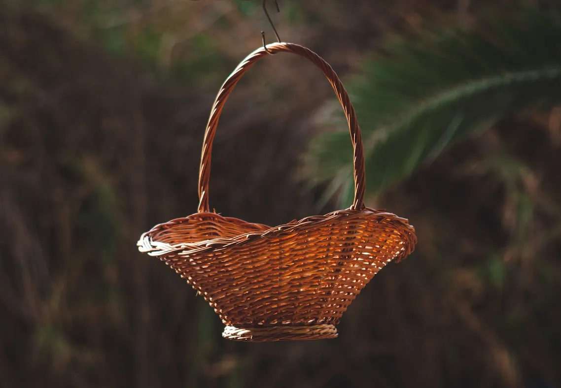 Kat Med from Unsplash