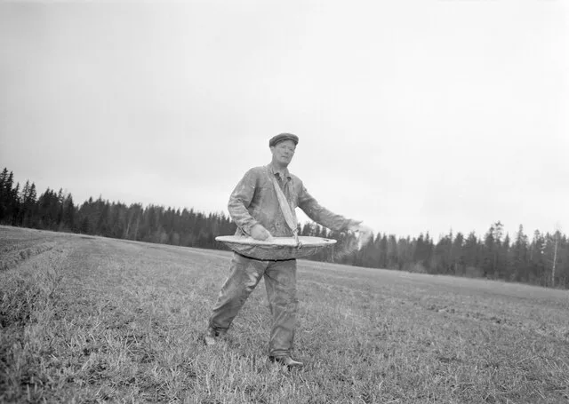 Erkki Voutilainen on Wikimedia Commons