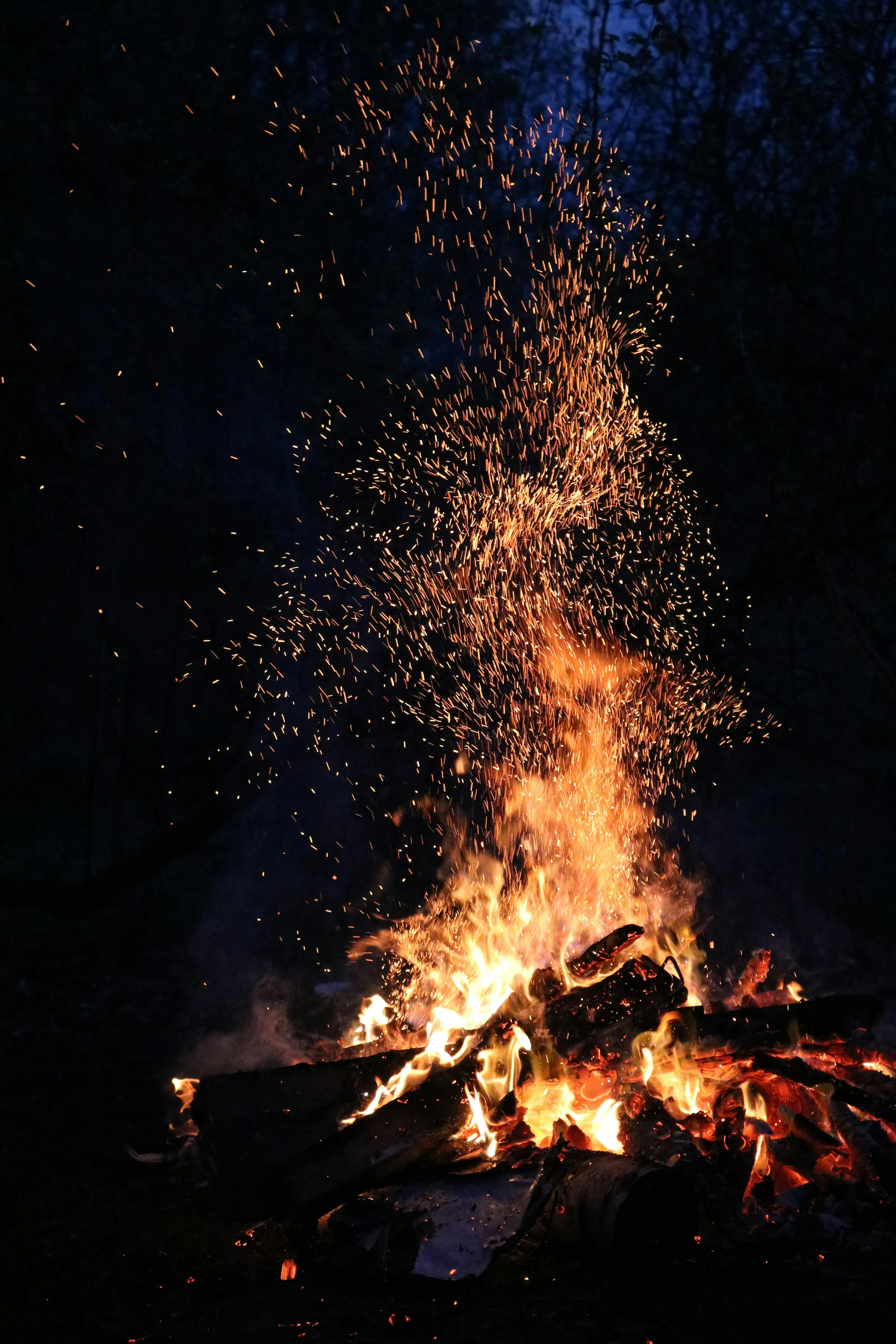 Pixabay on Pexels