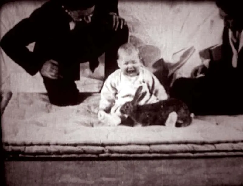 Image from New Scientist