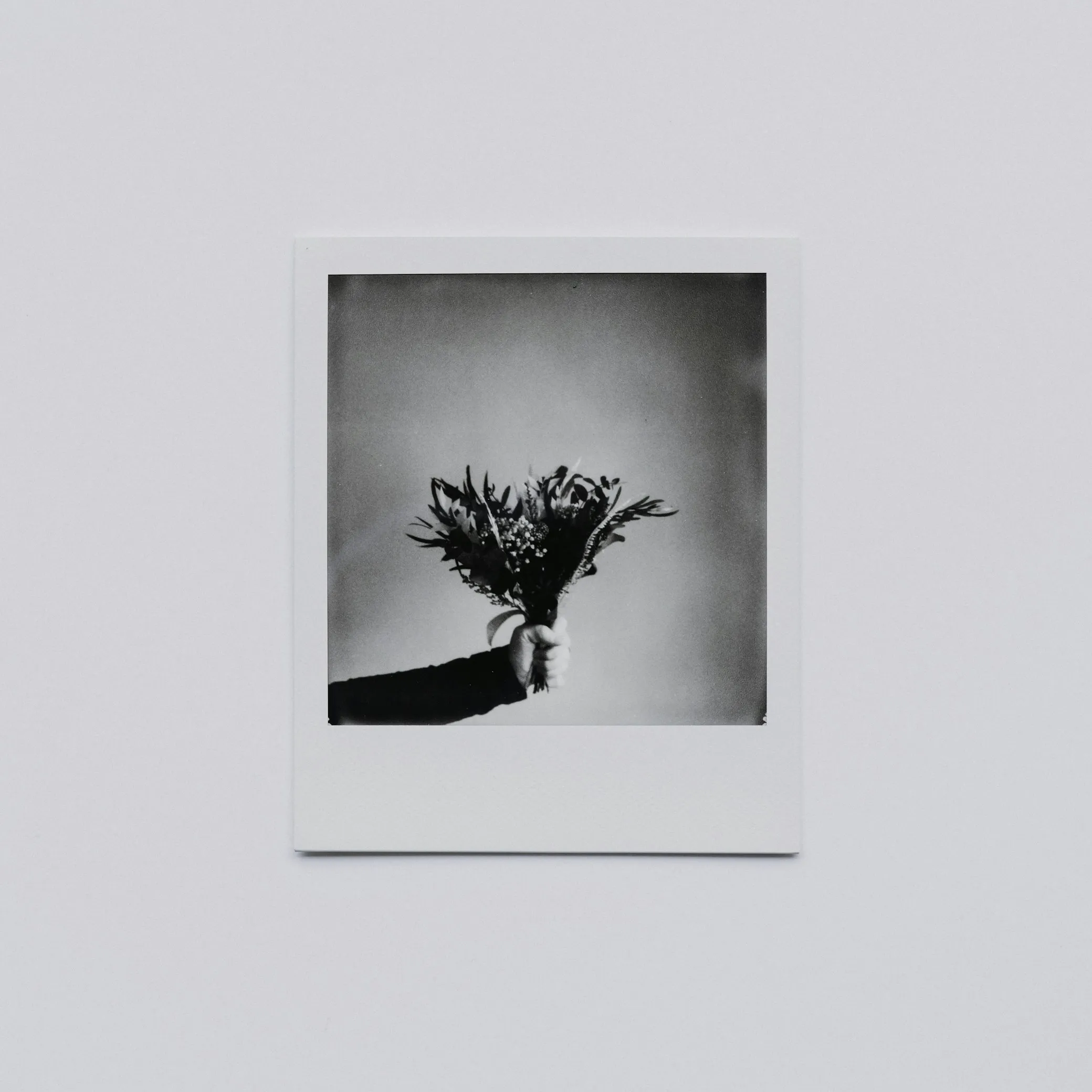  Annie Spratt from Unsplash