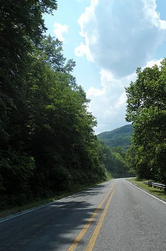 Image from Wikipedia