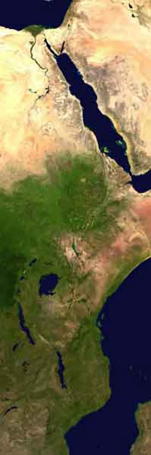 Public domain on wikimedia