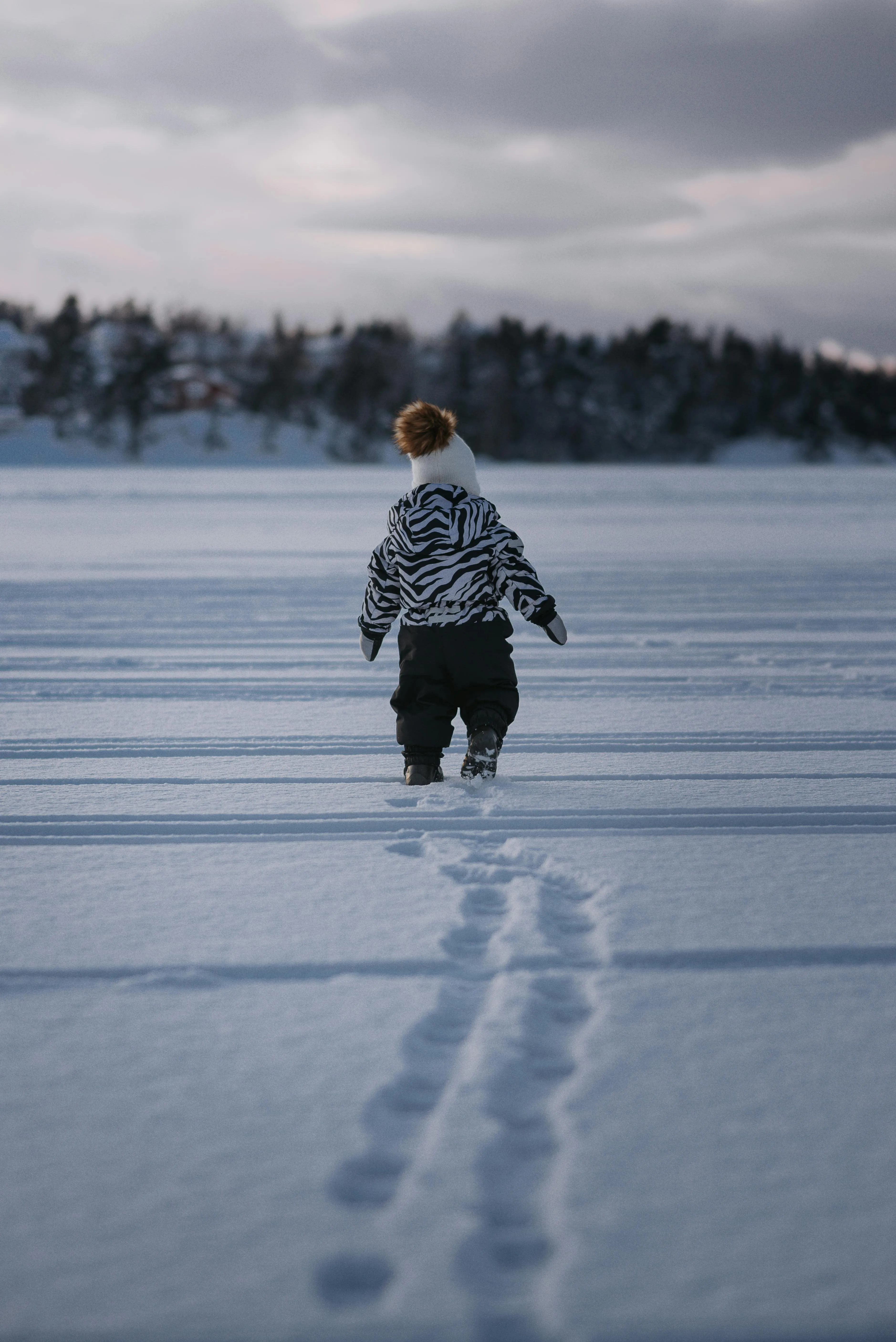 Oscar Helgstrand on pexels