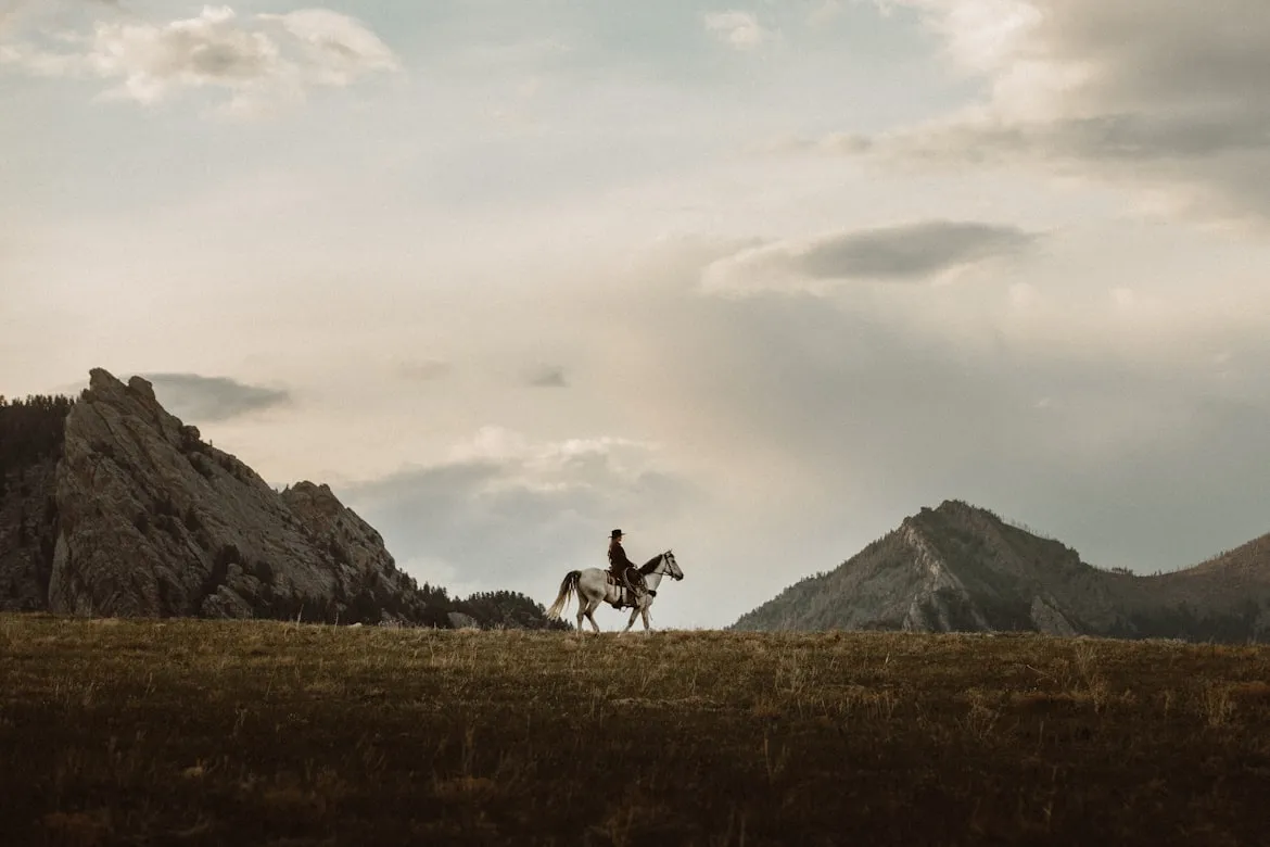 Taylor Brandon on Unsplash