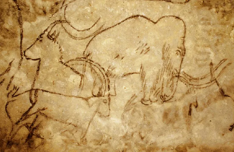 Wikimedia Commons