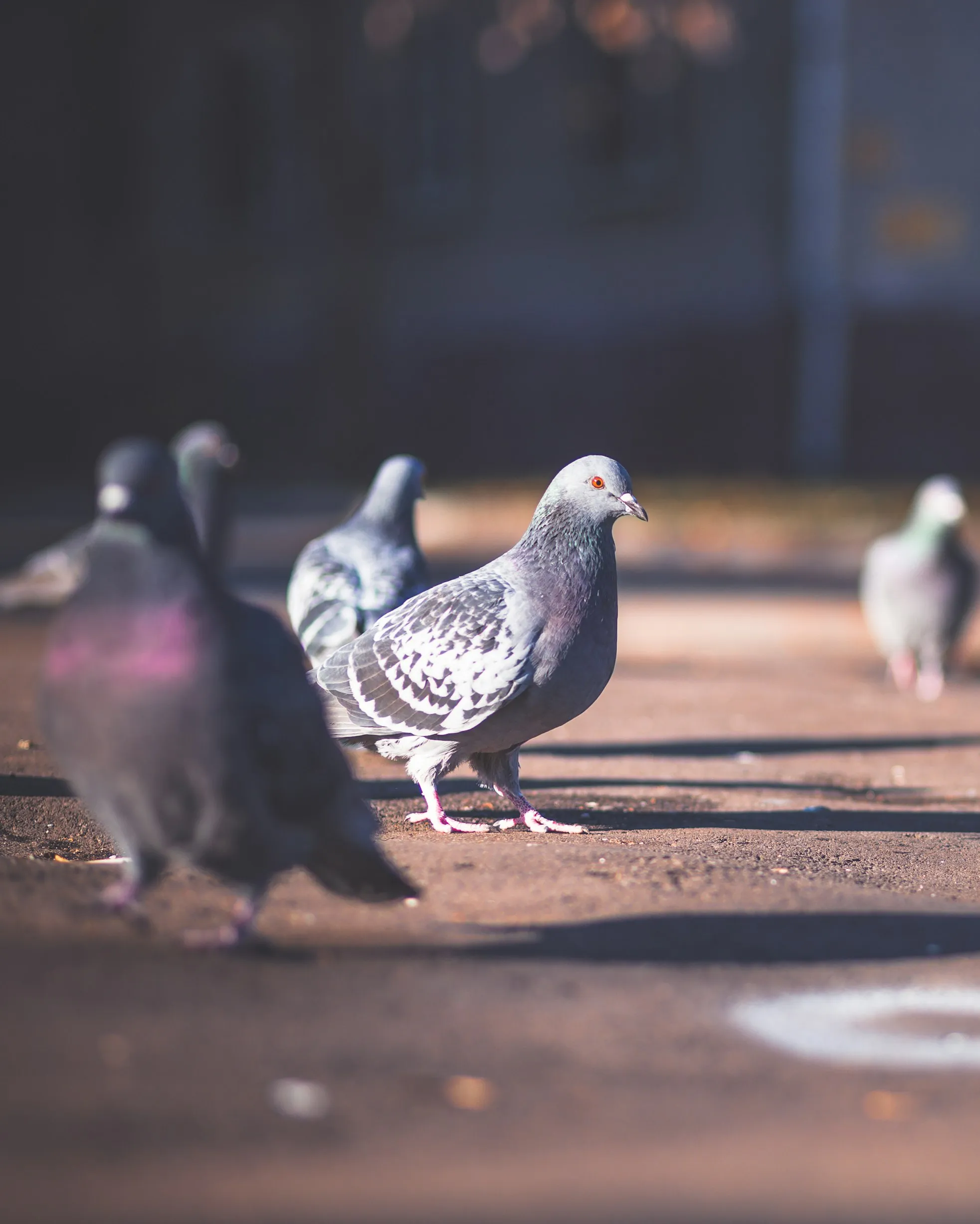 Vladislav Nikonov on Unsplash