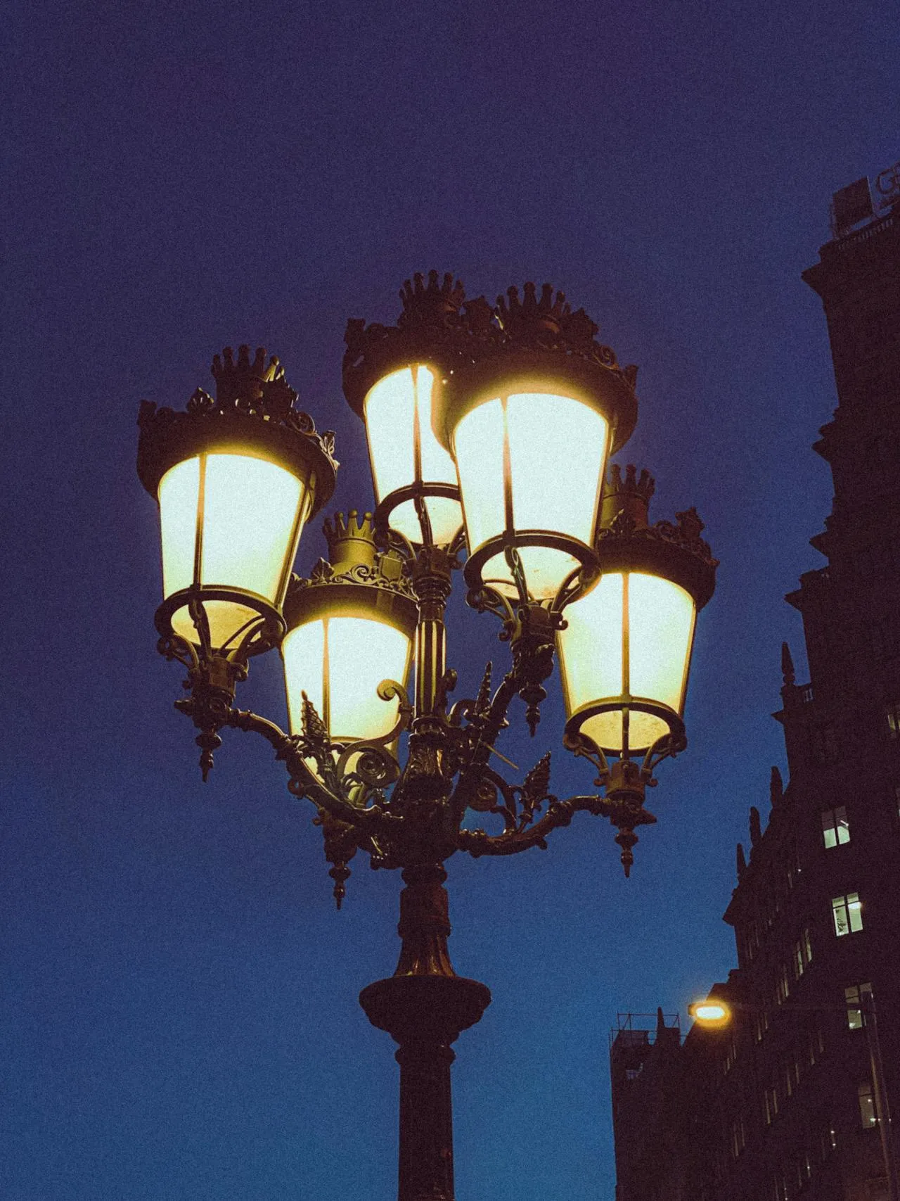 Thiago Calamita on Pexels