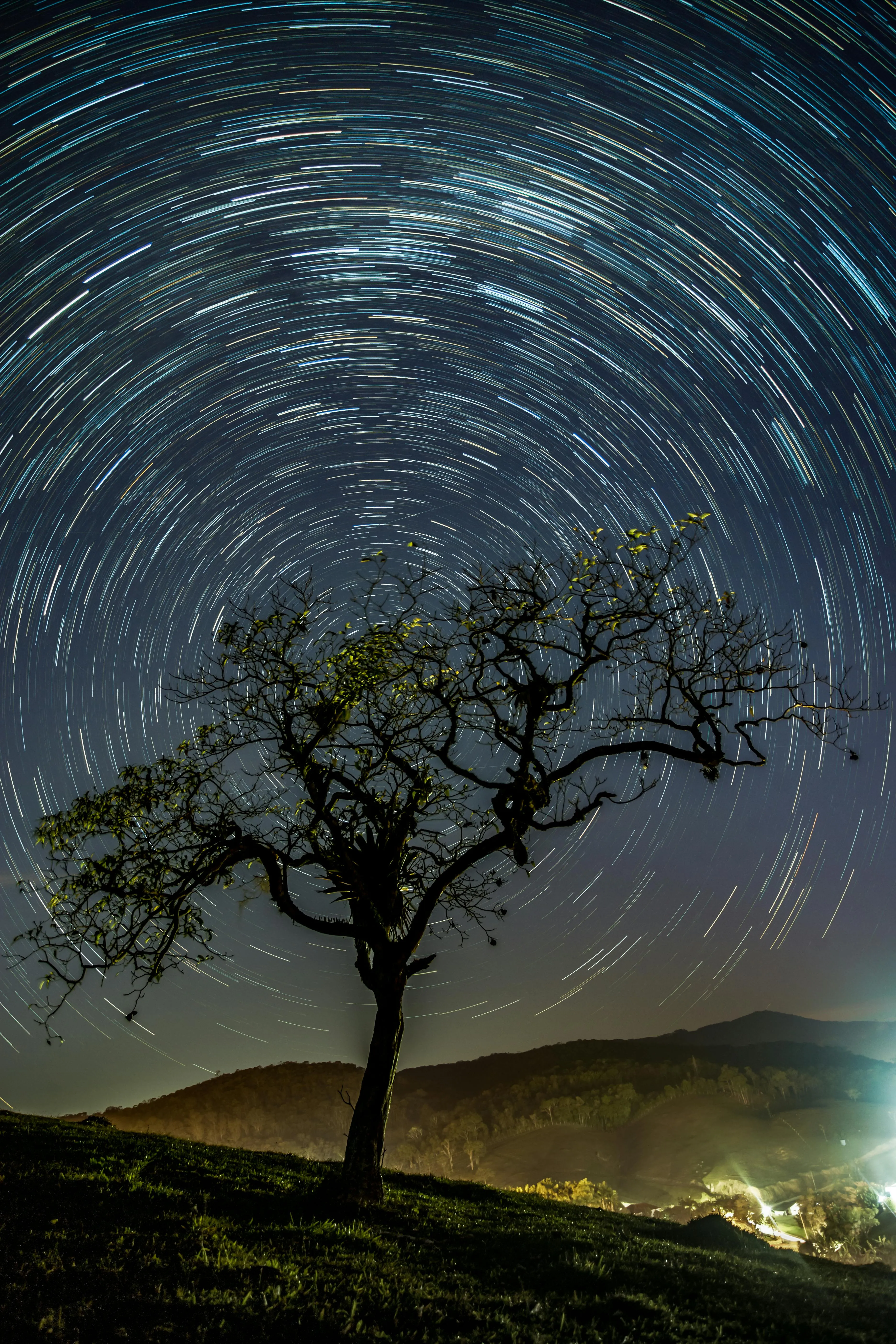 Dennis Ariel on Pexels