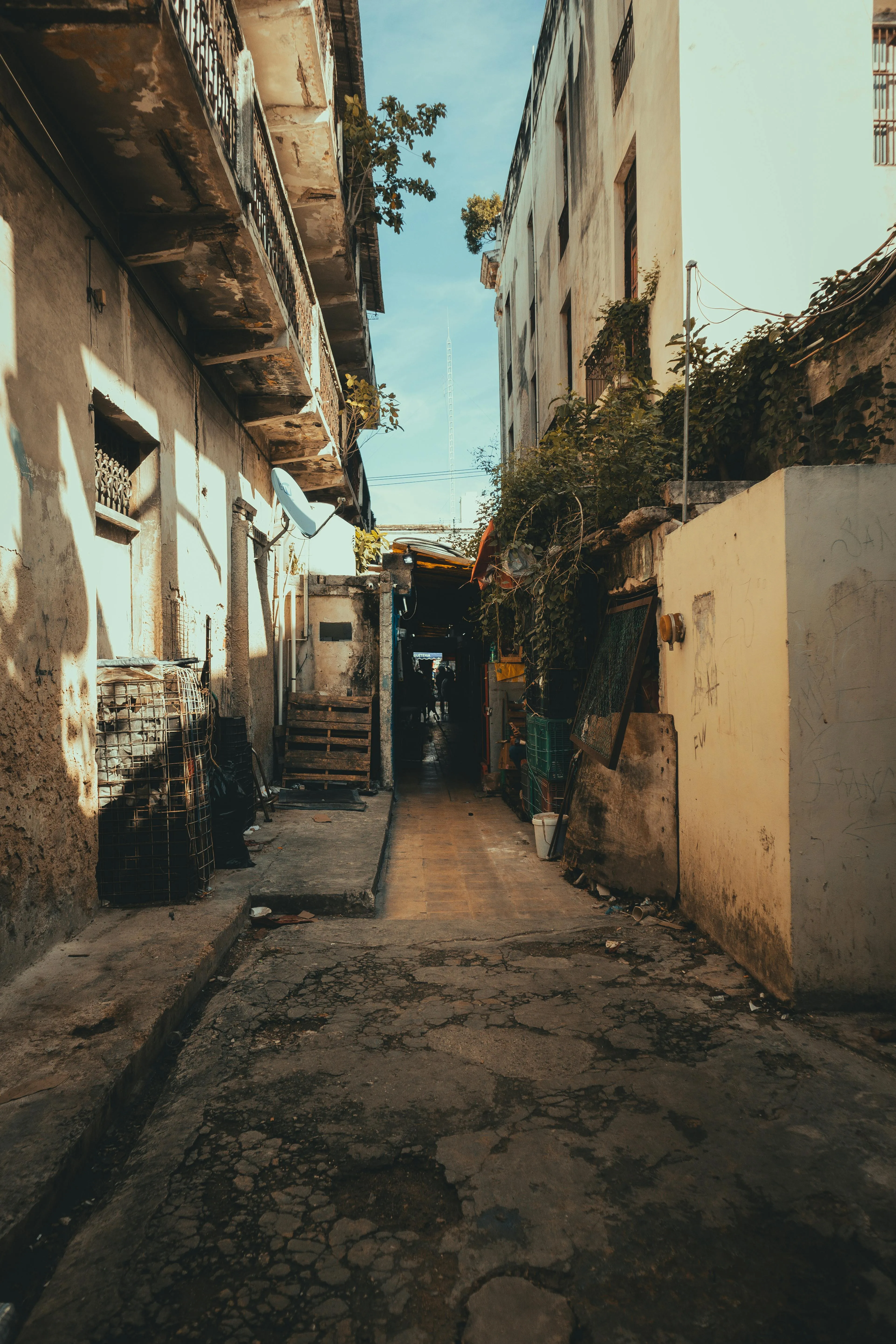 Moises Caro | Photographer on Pexels