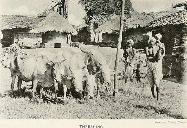 Internet Archive Book Images on Wikimedia Commons