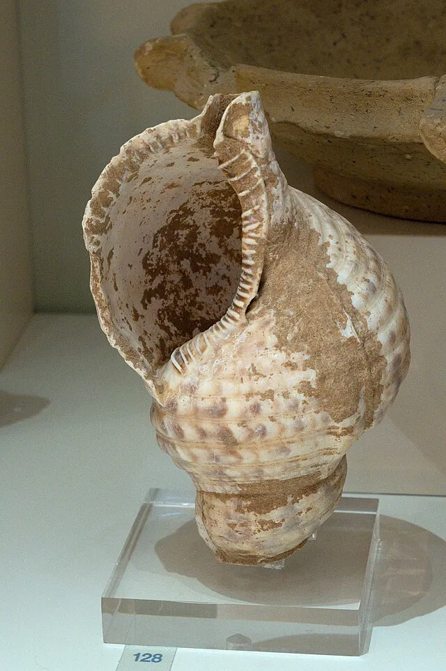 Zde on Wikimedia Commons