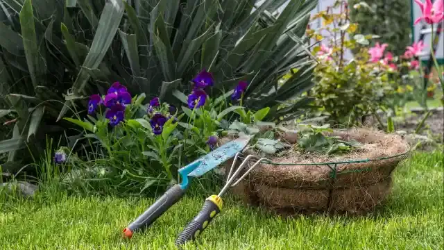 A Fresh Start