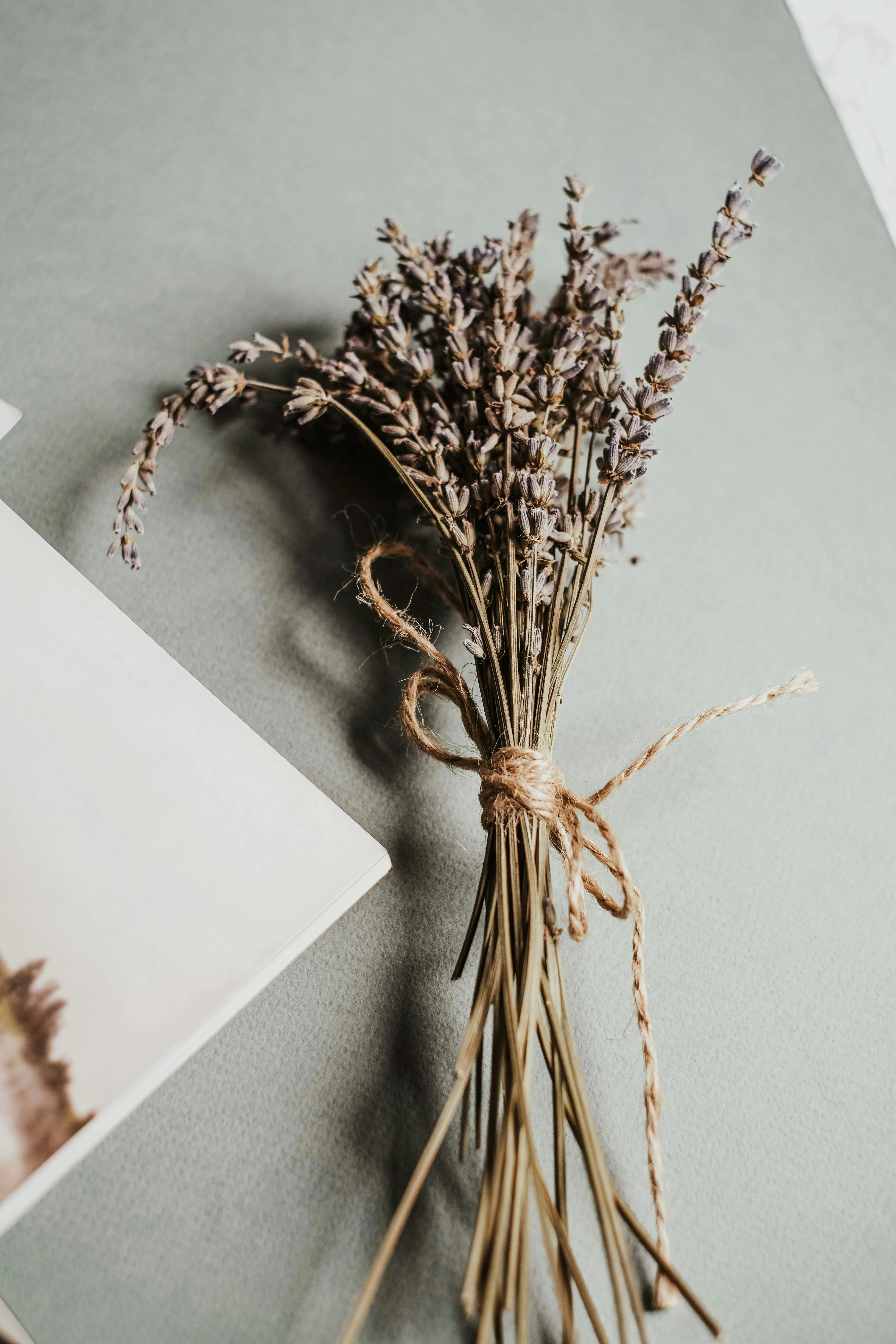 Vie Studio on Pexels