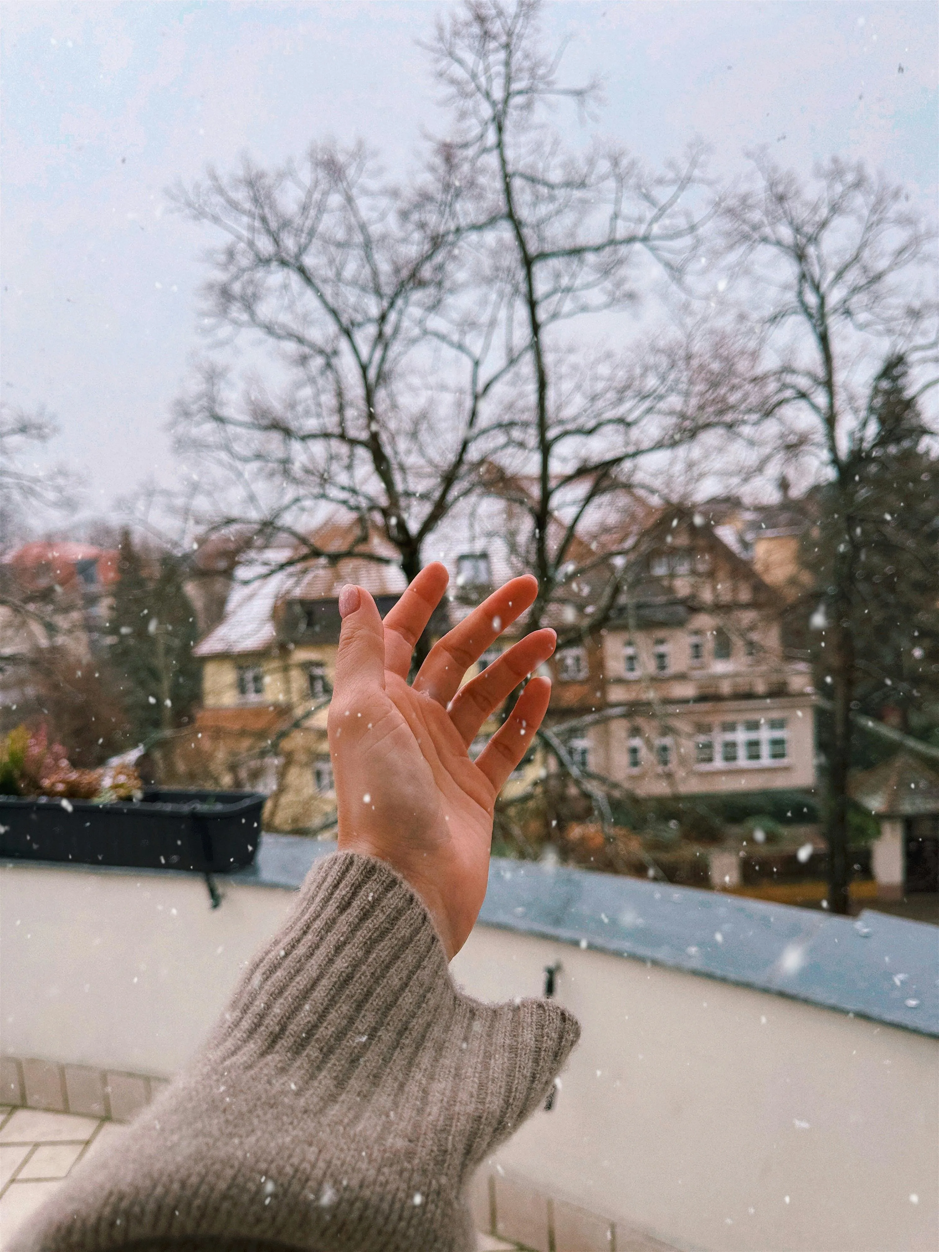 Liluna 🌙 on pexels